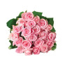 20_rose_rosa