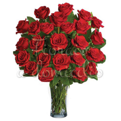 24-rose-rosse