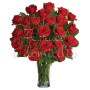 24-rose-rosse