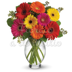 bouquet-di-gerbere-colorate