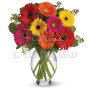 bouquet-di-gerbere-colorate