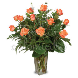 12_roselline_arancio