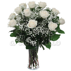 12_roselline_bianche