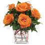 5_rose_arancio