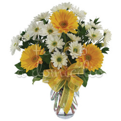 bouquet_di_gerbere_margherite