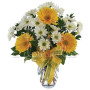 bouquet_di_gerbere_margherite