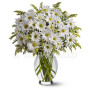 bouquet-margherite-bianche