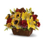 cesto-rose-girasoli-gigli
