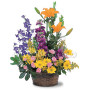 cesto_margherite_garofani_gigli_delphinium
