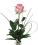 rosa-rosa1.jpg
