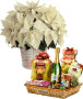 stella-natale-bianca-cesto1.jpg