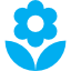 bloom1