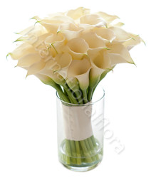 bouquet-di-calle-bianche