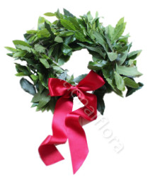 corona-di-alloro-laurea