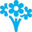 flowers29