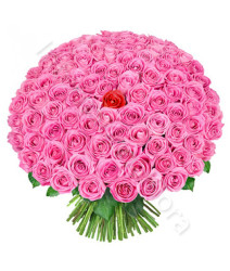 laurea-110-e-lode-rose-rosa-e-rossa
