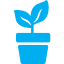 plants5