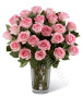 24-rose-rosa