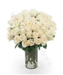 bouquet-di-50-rose-bianche