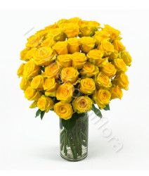 bouquet-di-50-rose-gialle