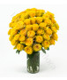 bouquet-di-50-rose-gialle