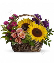 cesto-di-girasoli-rose