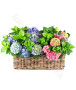cesto-di-ortensie