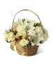 cesto-natale-gigli-e-rose