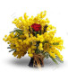 una-rosa-rossa-con-mimosa