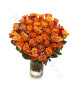 bouquet-di-50-rose-arancio
