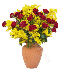 20-roselline-rosse-mimosa